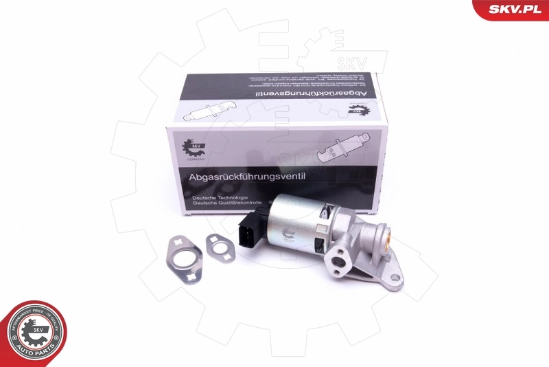 EGR Valve